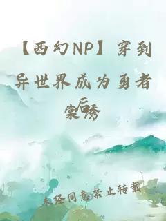 【西幻NP】穿到异世界成为勇者后