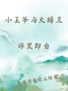 小王爷与大暗卫