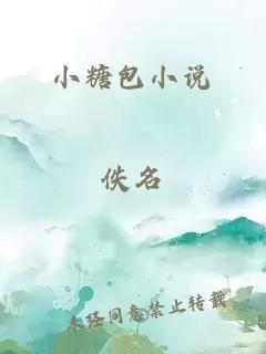 小糖包小说