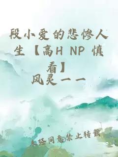 段小爱的悲惨人生【高H NP 慎看】