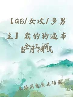 【GB/女攻/多男主】我的狗遍布全江湖