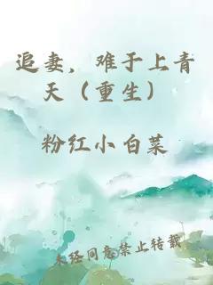 追妻，难于上青天（重生）