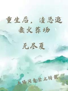 重生后，渣总追妻火葬场