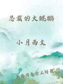 总裁的大鲲鹏