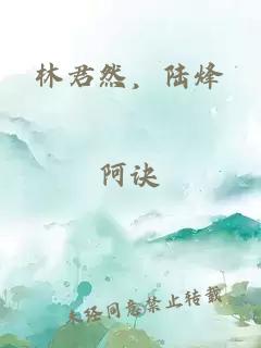 林君然，陆烽