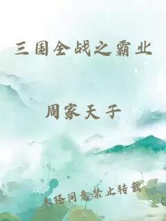 三国全战之霸业