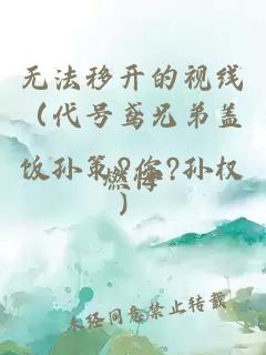 无法移开的视线（代号鸢兄弟盖饭孙策?你?孙权）