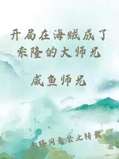 开局在海贼成了索隆的大师兄